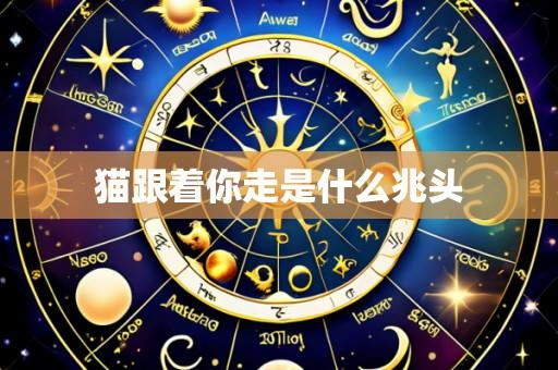 猫跟着你走是什么兆头