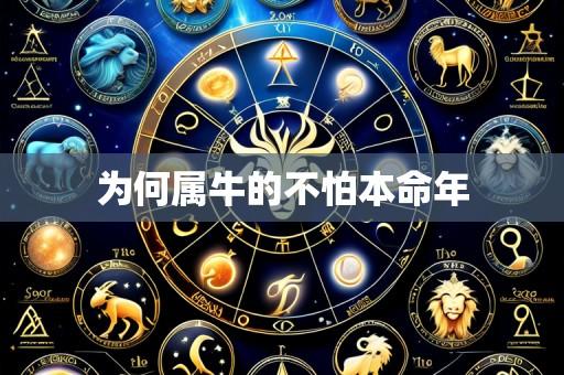 为何属牛的不怕本命年