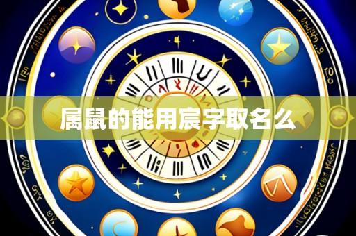 属鼠的能用宸字取名么