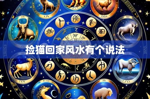 捡猫回家风水有个说法