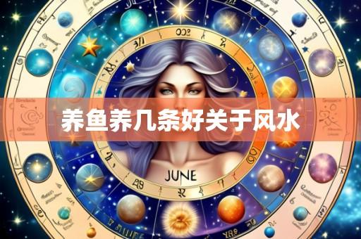 养鱼养几条好关于风水