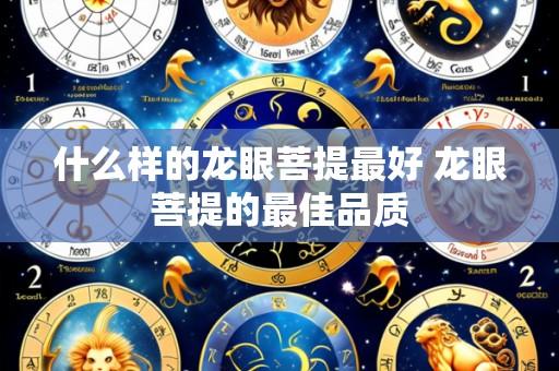 什么样的龙眼菩提最好 龙眼菩提的最佳品质