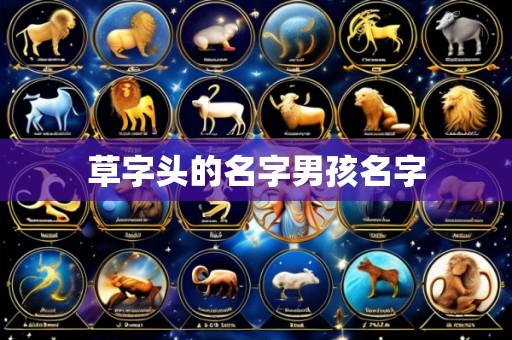 草字头的名字男孩名字