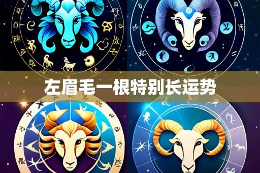 左眉毛一根特别长运势