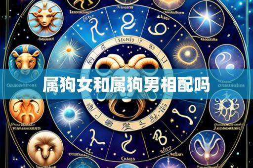 属狗女和属狗男相配吗