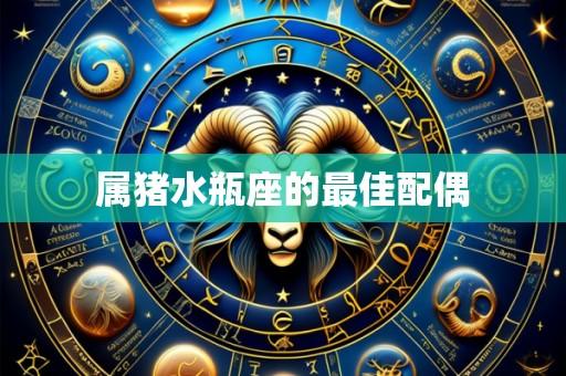 属猪水瓶座的最佳配偶