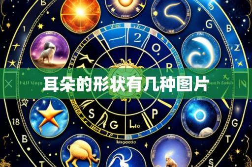 耳朵的形状有几种图片