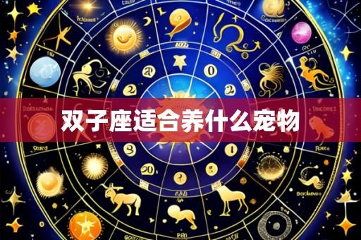 双子座适合养什么宠物
