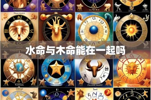 水命与木命能在一起吗