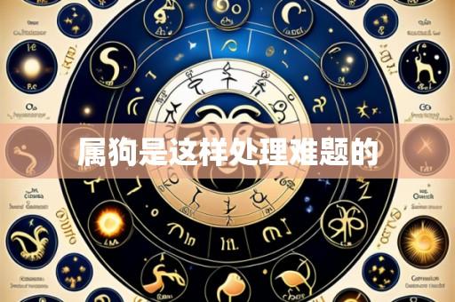 属狗是这样处理难题的
