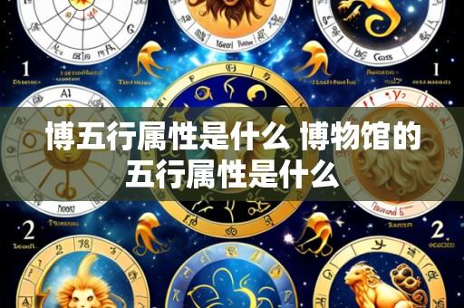 博五行属性是什么 博物馆的五行属性是什么