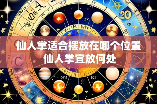 仙人掌适合摆放在哪个位置 仙人掌宜放何处