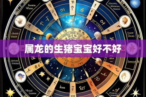 属龙的生猪宝宝好不好