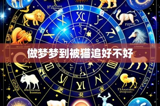 做梦梦到被猫追好不好