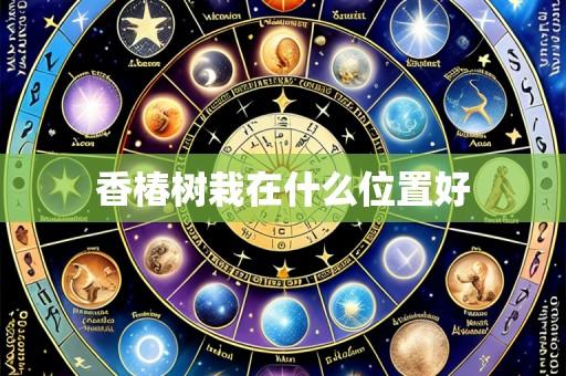 香椿树栽在什么位置好