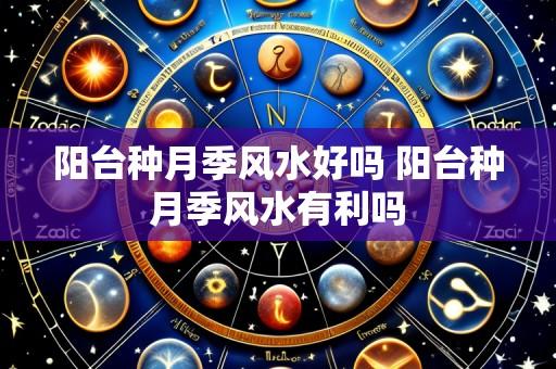 阳台种月季风水好吗 阳台种月季风水有利吗