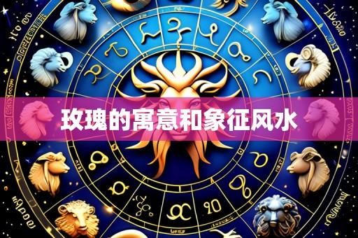 玫瑰的寓意和象征风水