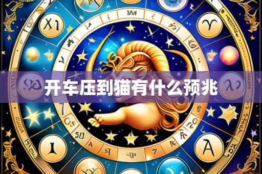 开车压到猫有什么预兆