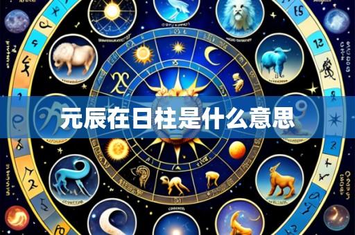 元辰在日柱是什么意思