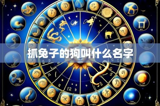 抓兔子的狗叫什么名字