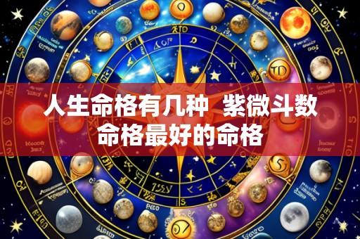 人生命格有几种  紫微斗数命格最好的命格