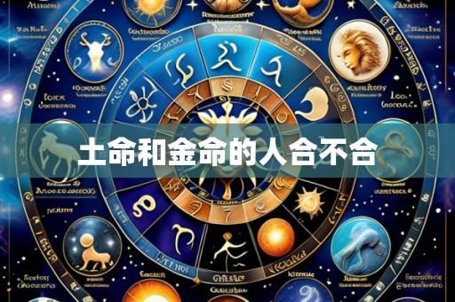 土命和金命的人合不合