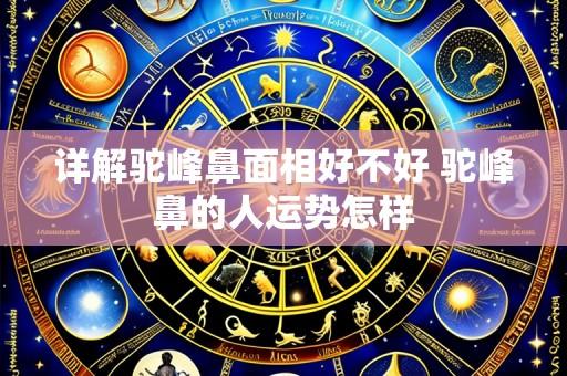 详解驼峰鼻面相好不好 驼峰鼻的人运势怎样
