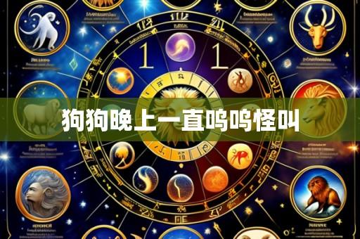 狗狗晚上一直呜呜怪叫