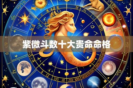紫微斗数十大贵命命格