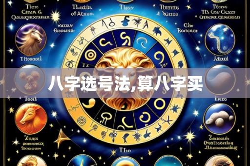 八字选号法,算八字买