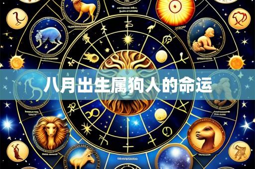八月出生属狗人的命运