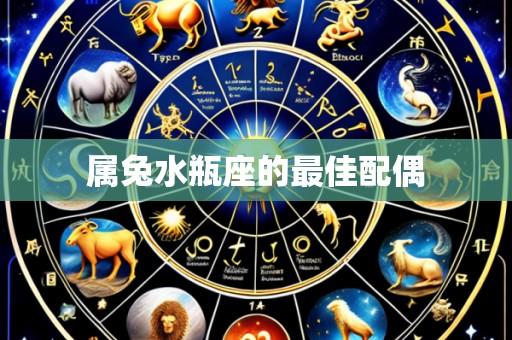 属兔水瓶座的最佳配偶