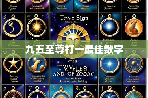 九五至尊打一最佳数字