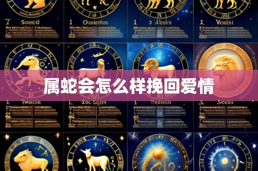 属蛇会怎么样挽回爱情