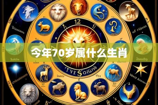 今年70岁属什么生肖