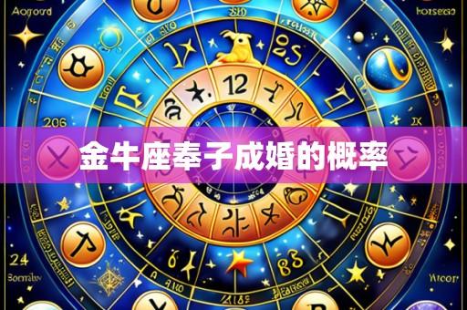 金牛座奉子成婚的概率