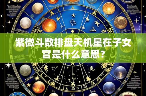 紫微斗数排盘天机星在子女宫是什么意思?