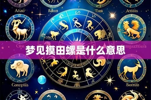 梦见摸田螺是什么意思