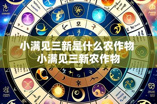 小满见三新是什么农作物 小满见三新农作物