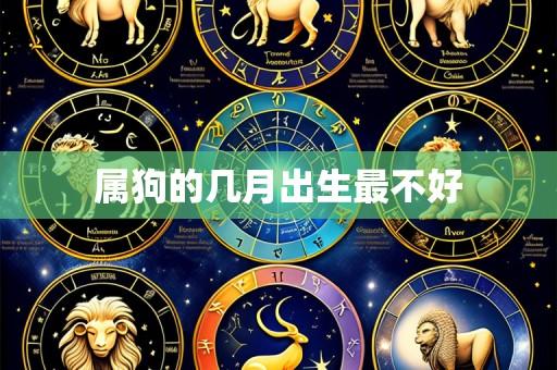 属狗的几月出生最不好