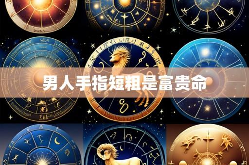 男人手指短粗是富贵命