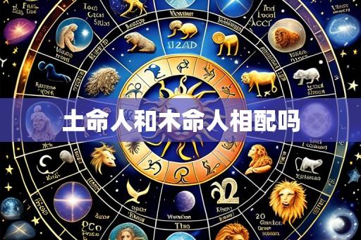 土命人和木命人相配吗