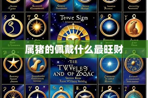 属猪的佩戴什么最旺财