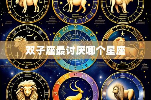 双子座最讨厌哪个星座