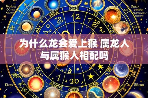为什么龙会爱上猴 属龙人与属猴人相配吗