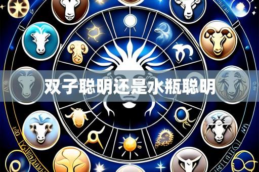 双子聪明还是水瓶聪明