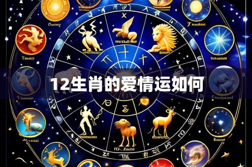 12生肖的爱情运如何