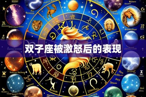双子座被激怒后的表现