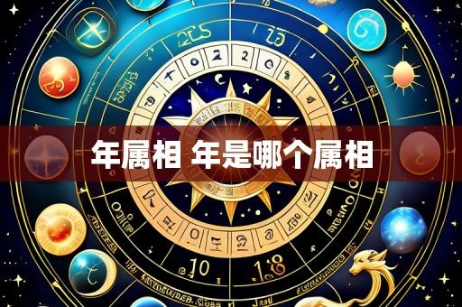 年属相 年是哪个属相