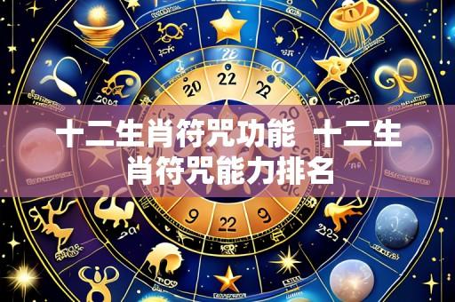 十二生肖符咒功能 十二生肖符咒能力排名